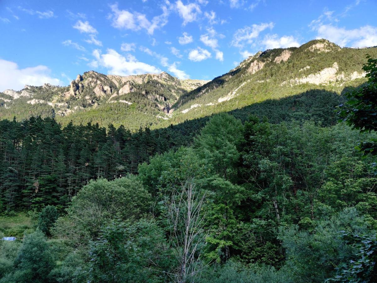 "Leo Pixel" Avairent Canfranc Estacion Apartment Bagian luar foto